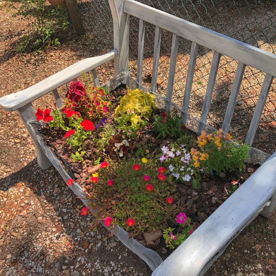 Villa Magda 토티 외부 사진