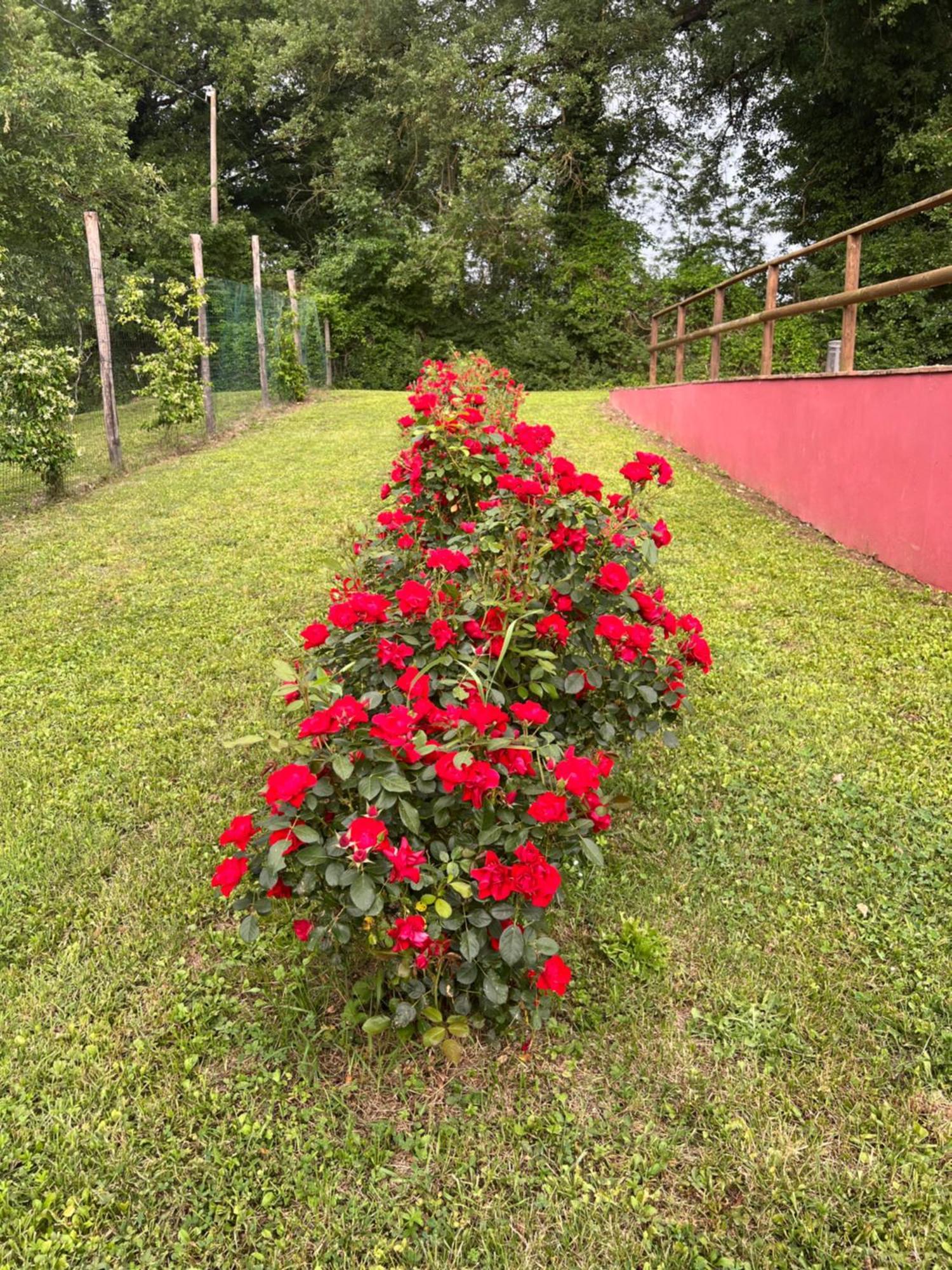 Villa Magda 토티 외부 사진